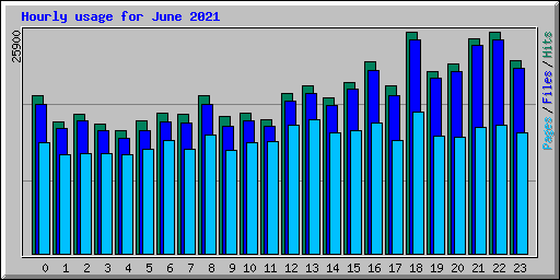 Hourly usage for June 2021
